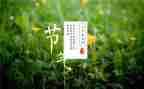 小班24节气教案8篇