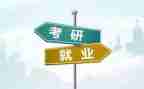 2024就业状况调查报告5篇