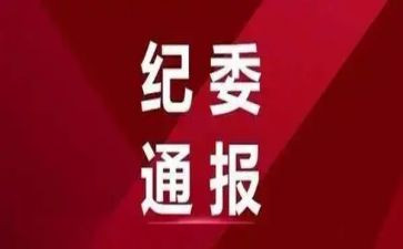区纪委监察局工作总结7篇
