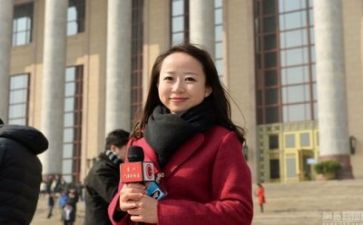 2023新闻记者工作总结8篇