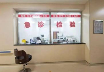 急诊科护理个人总结6篇