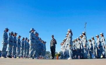 军训感悟及心得体会优质5篇