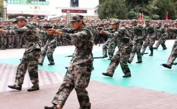 军训心得体会个人小结7篇
