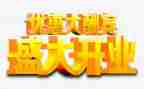开业活动方案方案策划优秀5篇