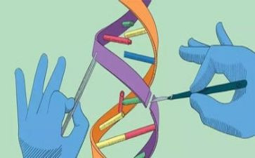 小学科学4年级教学计划6篇