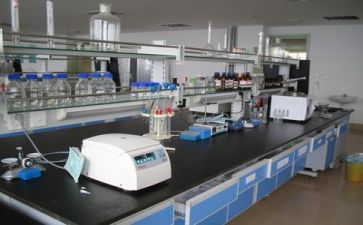 科研工作年度总结6篇
