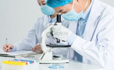 科研年度总结模板7篇