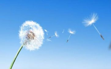 空气的调查报告通用6篇