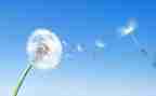 空气的调查报告通用6篇