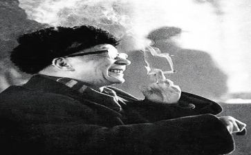 老舍养花读后感7篇