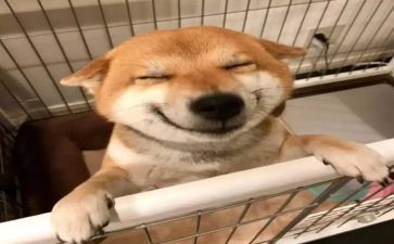 比快乐演讲稿参考5篇