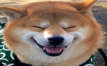 快乐暑假生活作文通用8篇