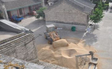 画粮仓教案5篇