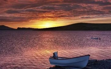 《历练》读后感6篇