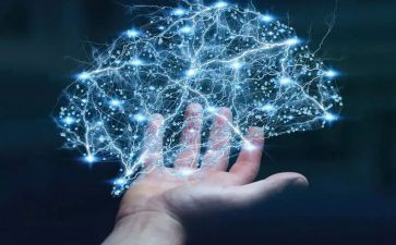 中班科学领域的教案5篇