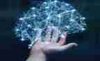 中班科学领域的教案5篇