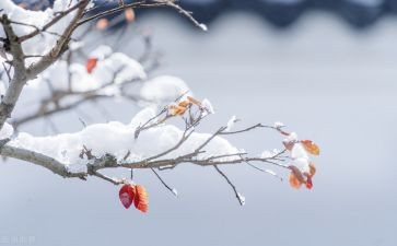 物流年度工作计划7篇