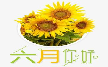 六月份的工作总结参考8篇