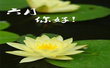 六月份的工作总结7篇