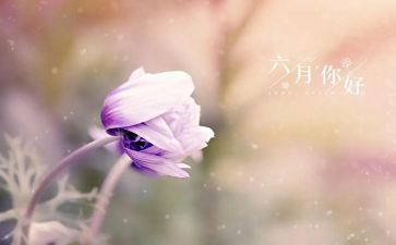 幼儿园班六月工作总结5篇