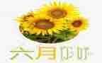 六月份的工作总结参考8篇