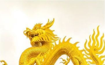 龙舟赛作文600字6篇