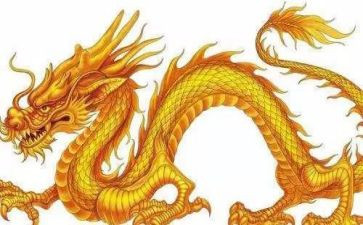接龙的教案8篇
