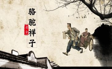 骆驼祥子1000心得体会7篇