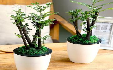绿化施工合同模板5篇