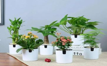 绿色发展心得体会8篇