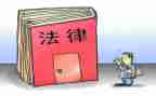 女律师工作总结模板7篇