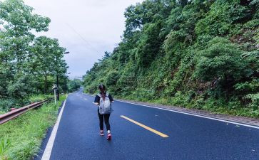 旅行合同8篇