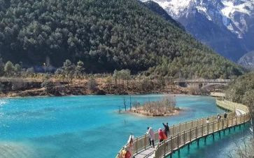 茶旅游工作总结参考6篇