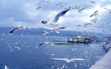 县旅游局年终工作总结最新7篇