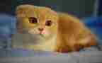 功夫熊猫3心得体会6篇