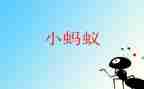 中班蚂蚁的教案推荐8篇