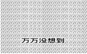 我没想到,真没想到作文优质5篇