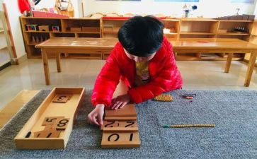 蒙氏保育老师工作心得6篇