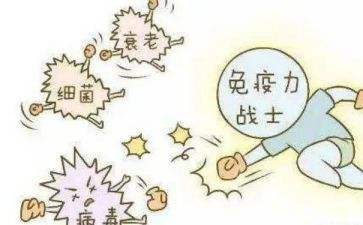 免疫组年终总结6篇