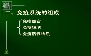 计划免疫工作计划8篇