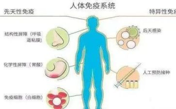 计划免疫工作计划通用7篇