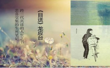目送阅读心得体会5篇