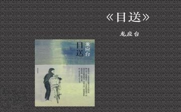 目送读后感推荐8篇