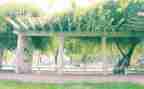 小学感恩母校演讲稿6篇
