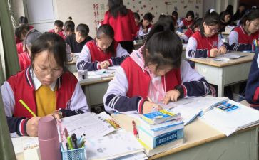 小学一年级工作总结个人总结5篇