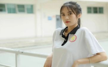 2023至2023学年少先队工作计划6篇