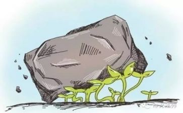 顺境与逆境作文8篇