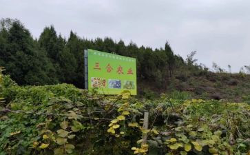 2024农产品质量安全工作总结7篇