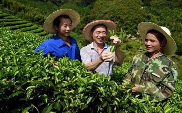 农艺师工作总结范文7篇