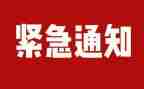 排查汇报材料6篇